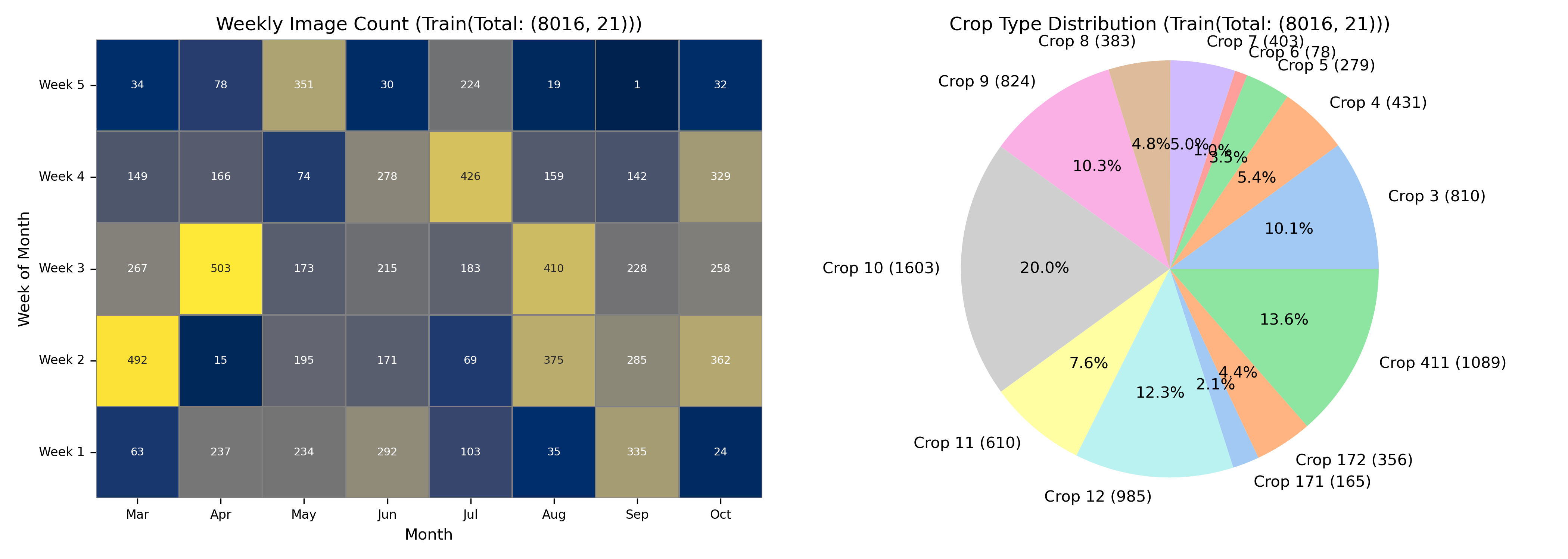 The distributions of the balanced datasets 