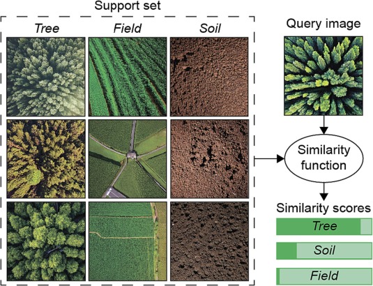 An example of few-shot learning